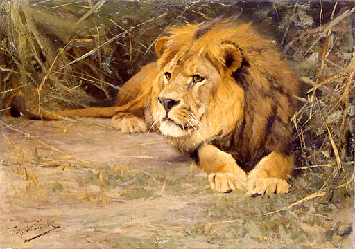 Verd�chtiges Ger�usch