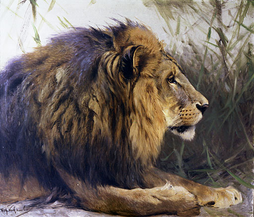 L�wenkopf im Profil