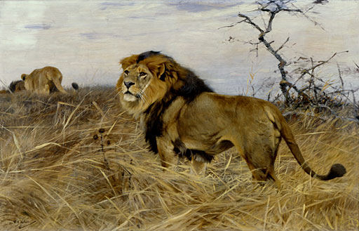 Der alte Nachz�gler