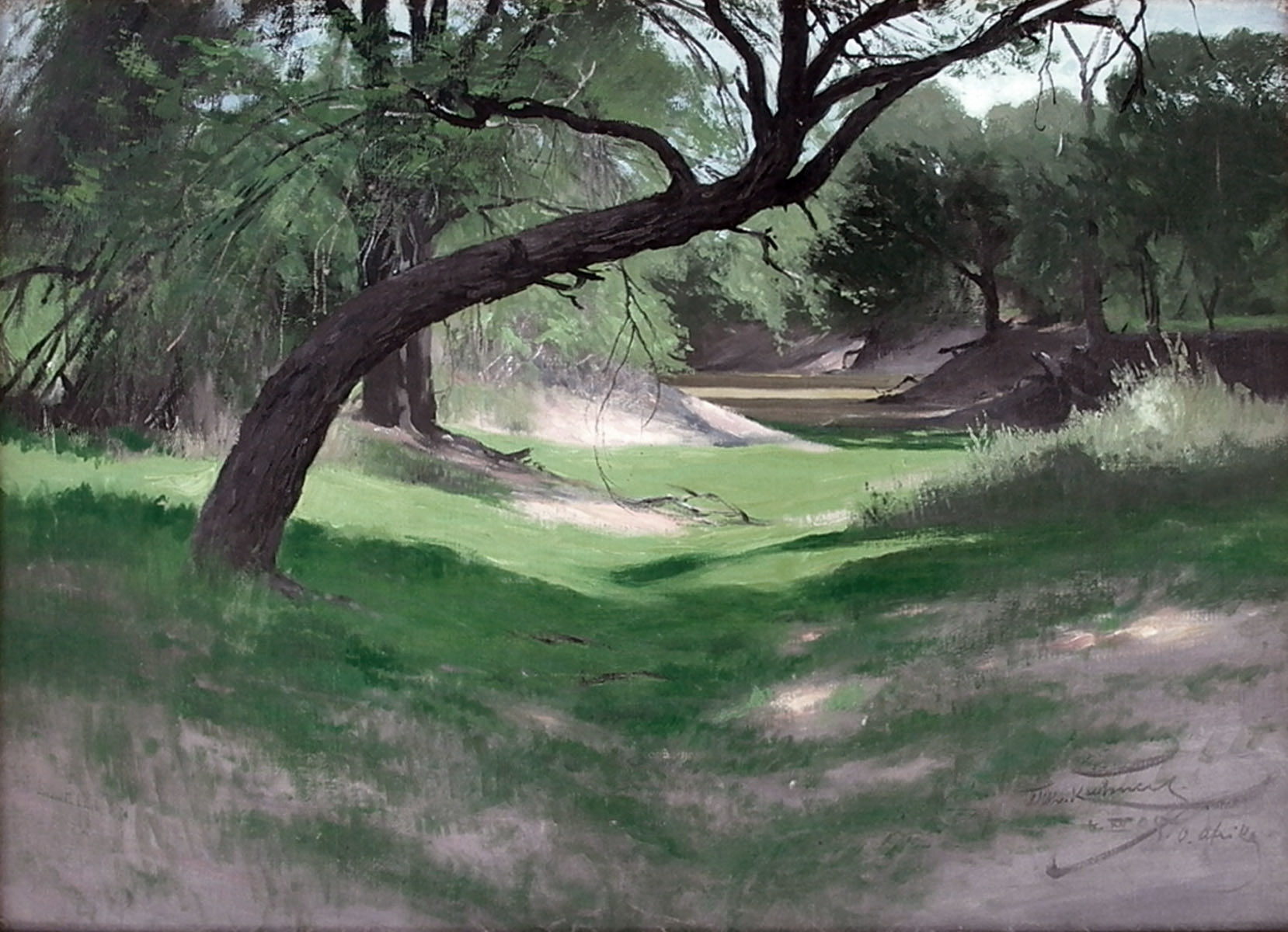 Das Gr�n nach der Regenzeit