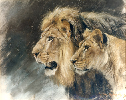 Portrait eines L�wenpaares