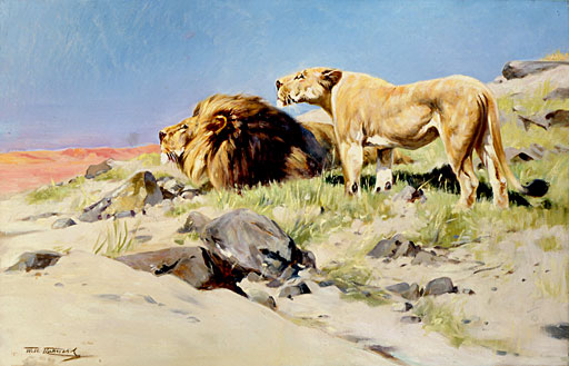 L�wenpaar auf der Lauer