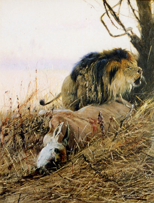 L�we mit seiner Beute