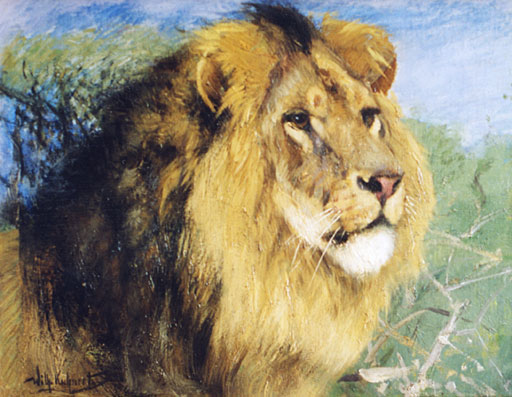 Kopf eines M�hnenl�wen