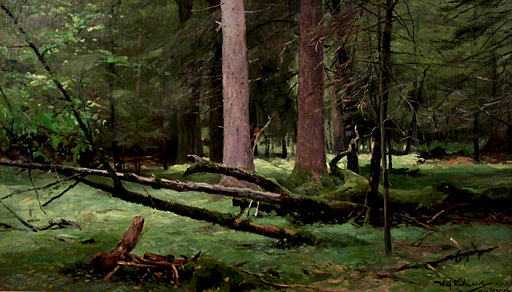 Der Urwald von Bialowies