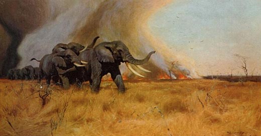 Elefanten vorm Steppenbrand flchtend